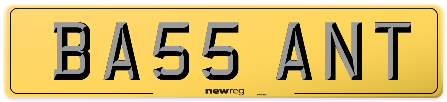 BA55 ANT Rear Number Plate