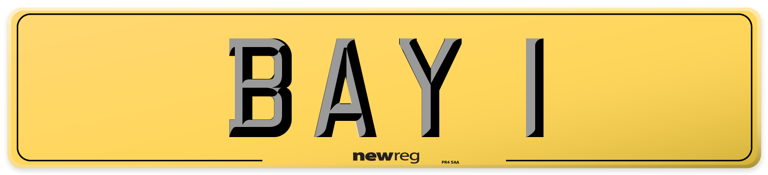 BAY 1 Rear Number Plate