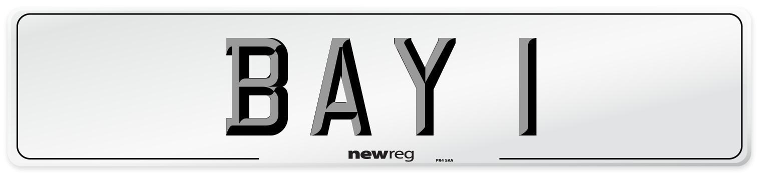 BAY 1 Front Number Plate