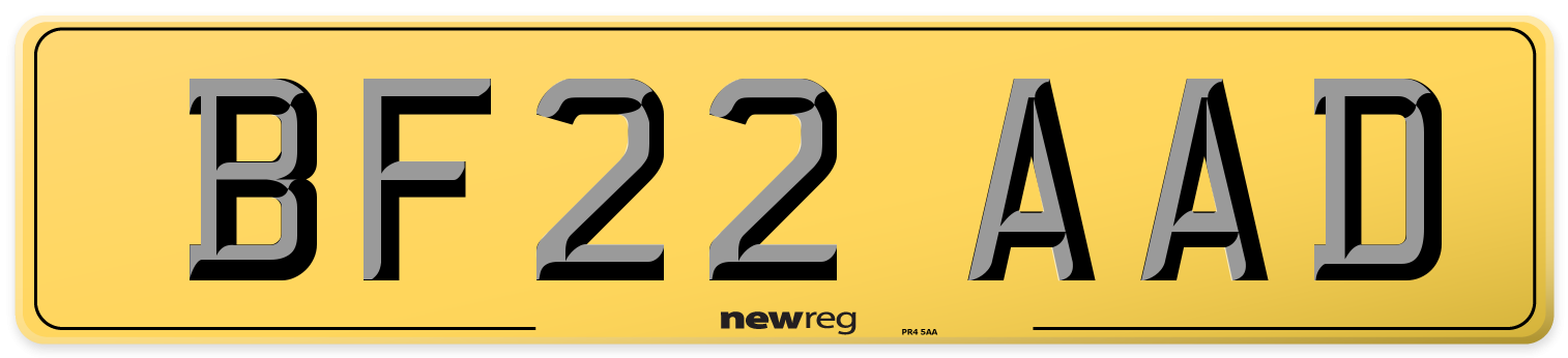 BF22 AAD Rear Number Plate