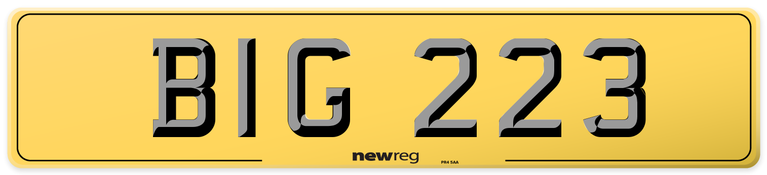 BIG 223 Rear Number Plate