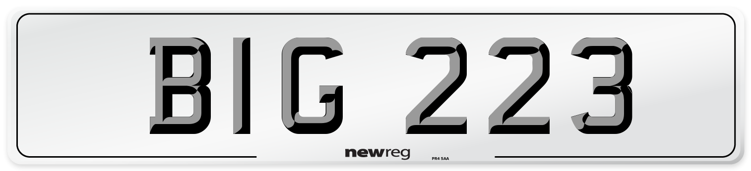 BIG 223 Front Number Plate