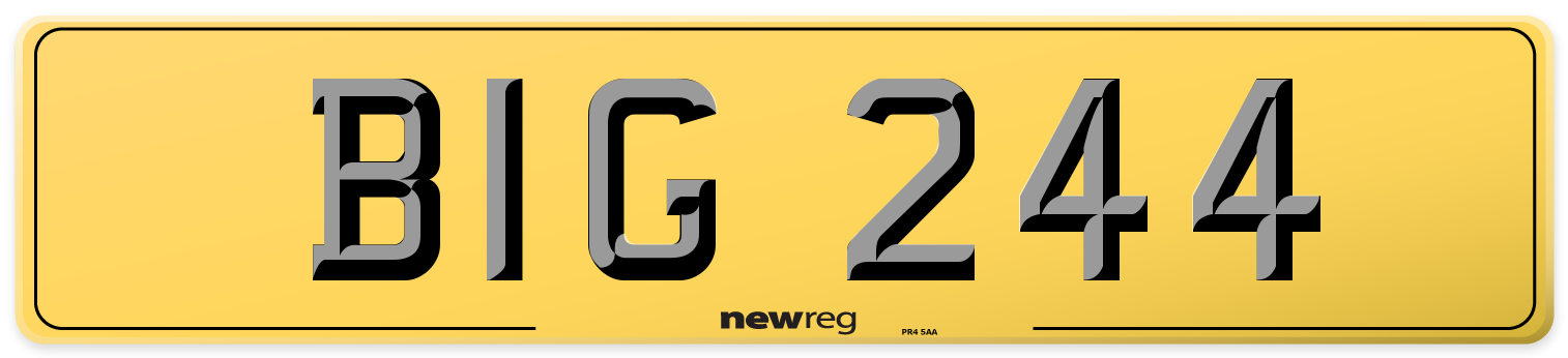 BIG 244 Rear Number Plate