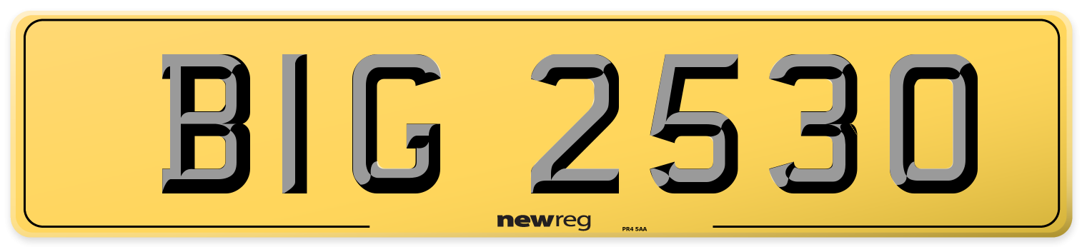 BIG 2530 Rear Number Plate