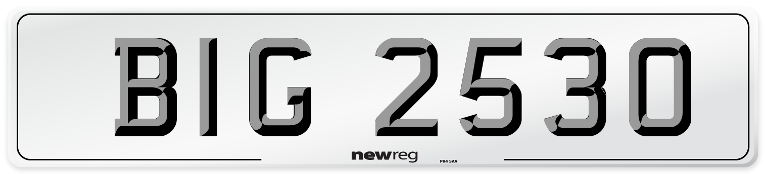 BIG 2530 Front Number Plate