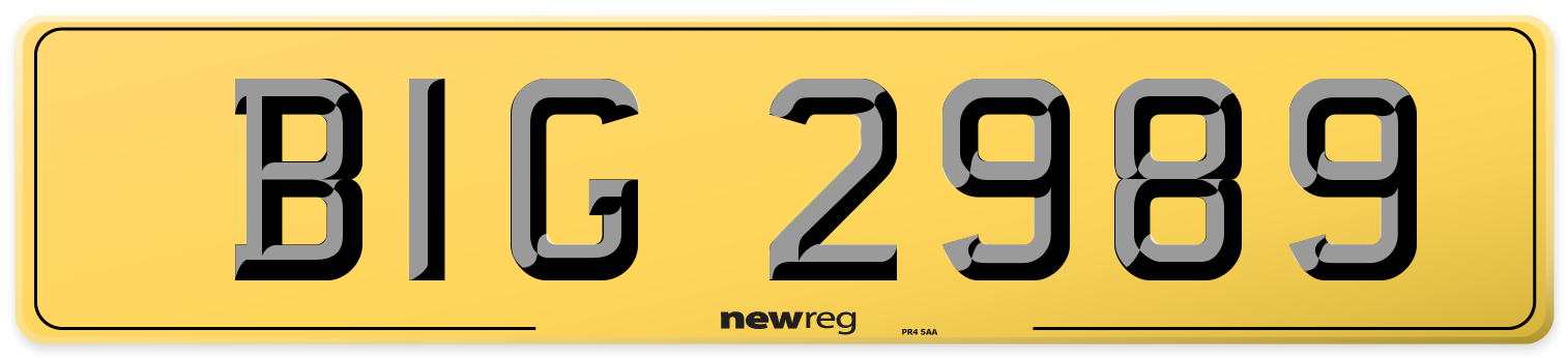 BIG 2989 Rear Number Plate
