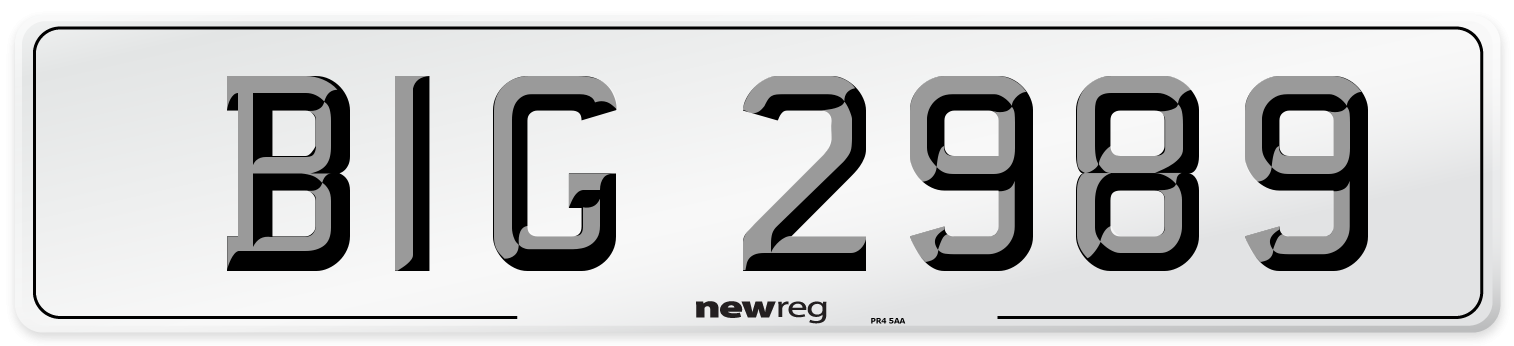 BIG 2989 Front Number Plate