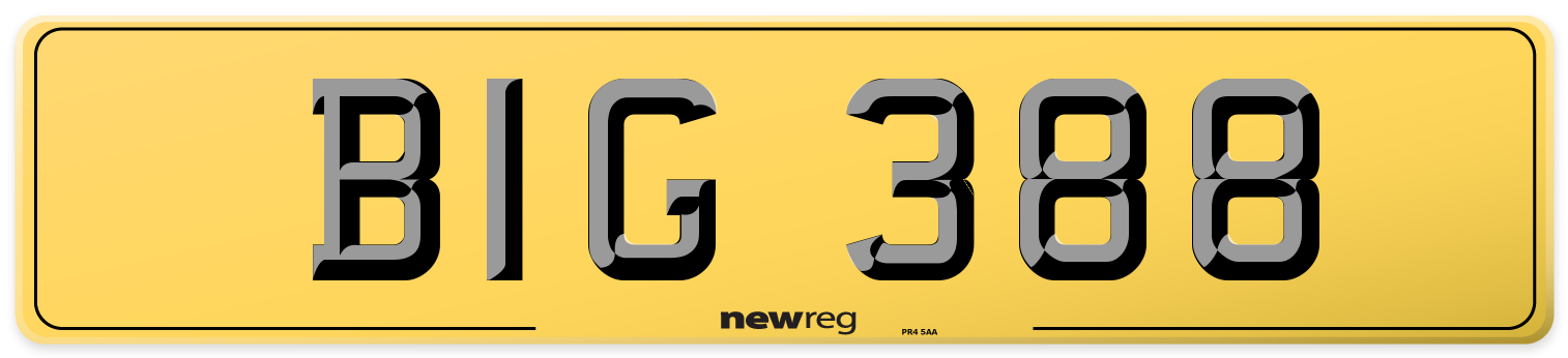 BIG 388 Rear Number Plate