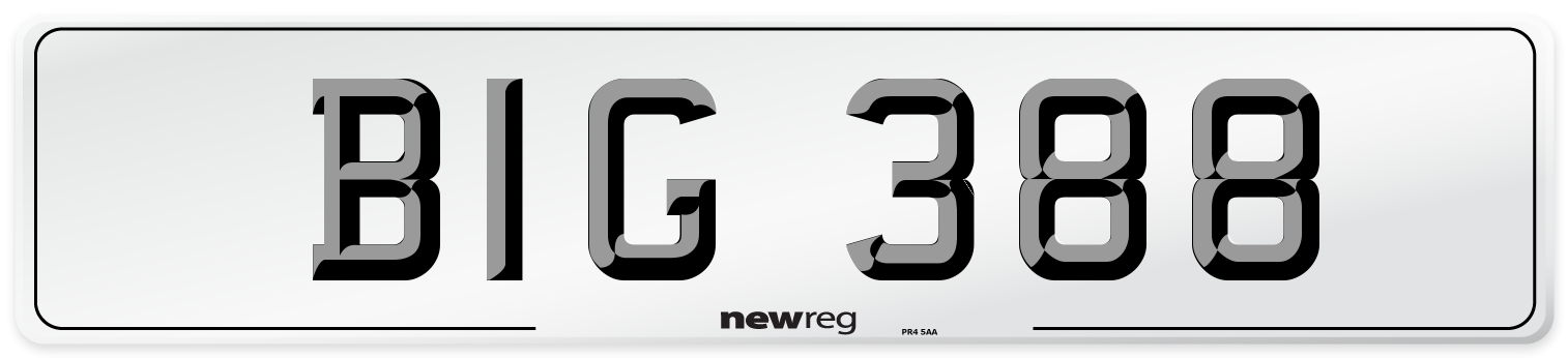 BIG 388 Front Number Plate