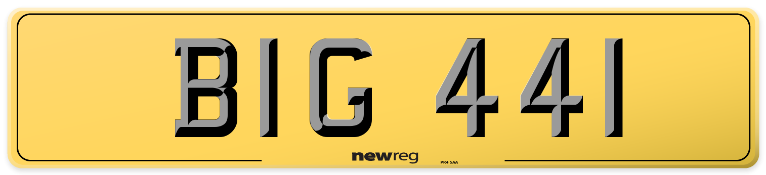 BIG 441 Rear Number Plate