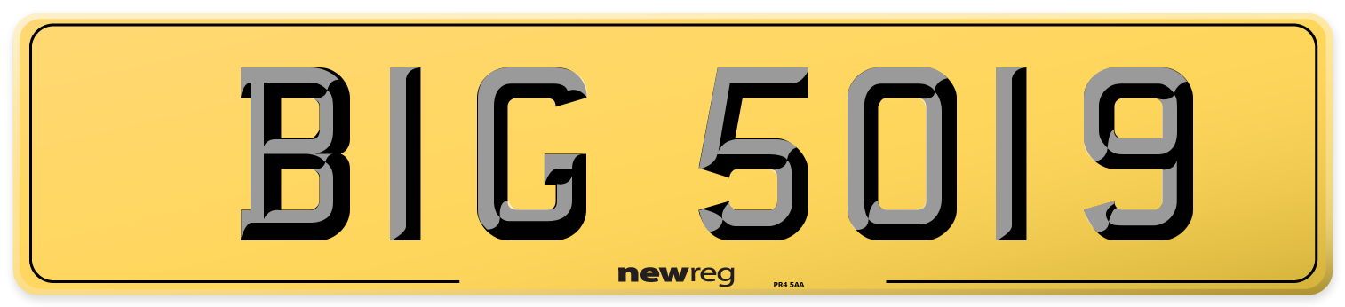 BIG 5019 Rear Number Plate