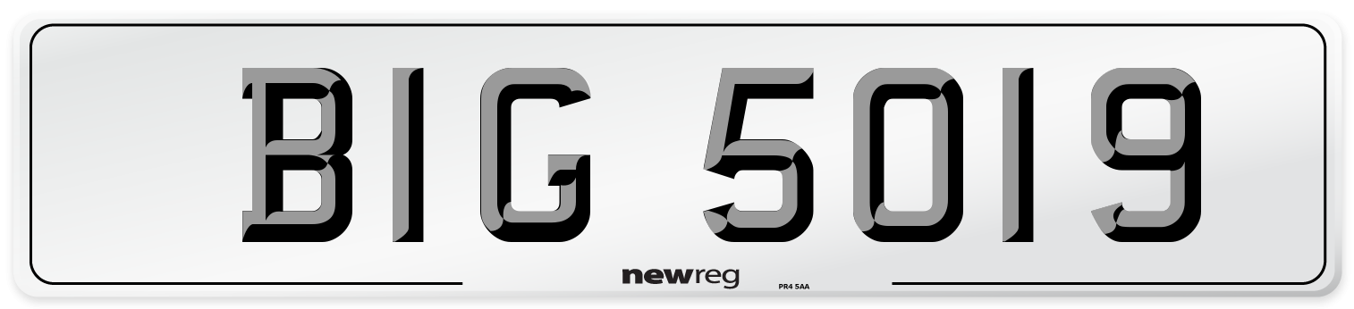 BIG 5019 Front Number Plate