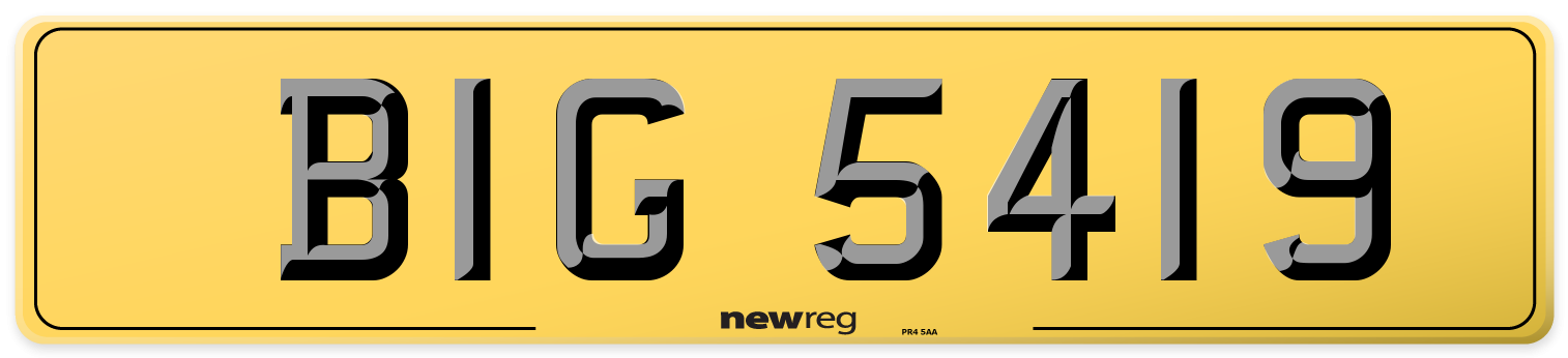 BIG 5419 Rear Number Plate