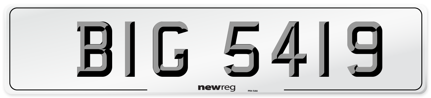 BIG 5419 Front Number Plate