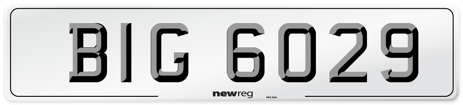 BIG 6029 Front Number Plate