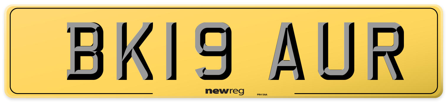 BK19 AUR Rear Number Plate