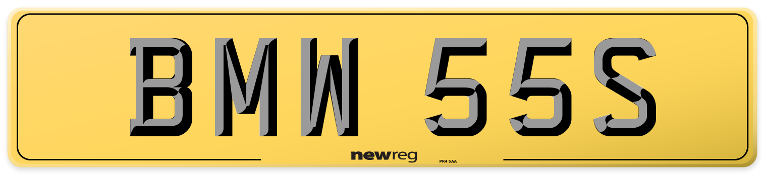 BMW 55S Rear Number Plate