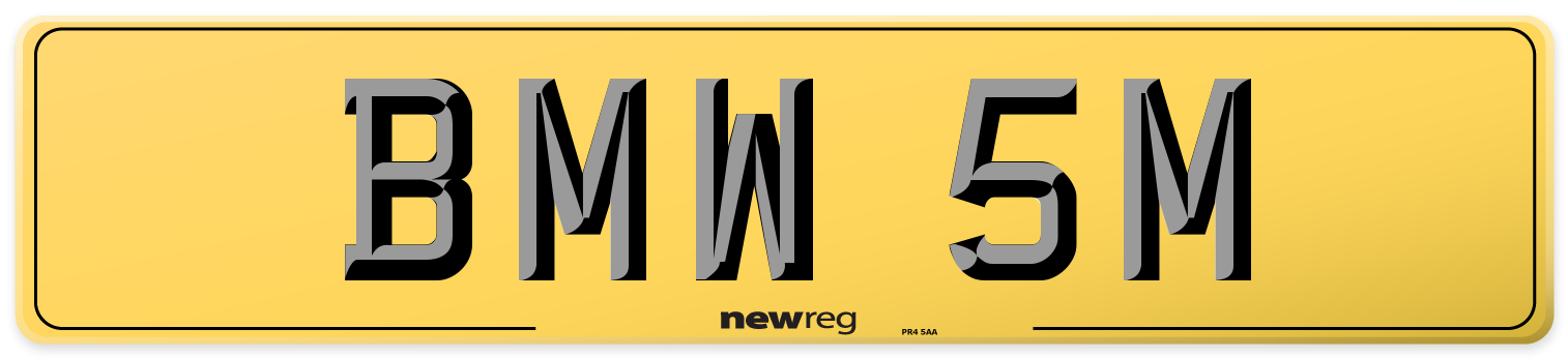 BMW 5M Rear Number Plate