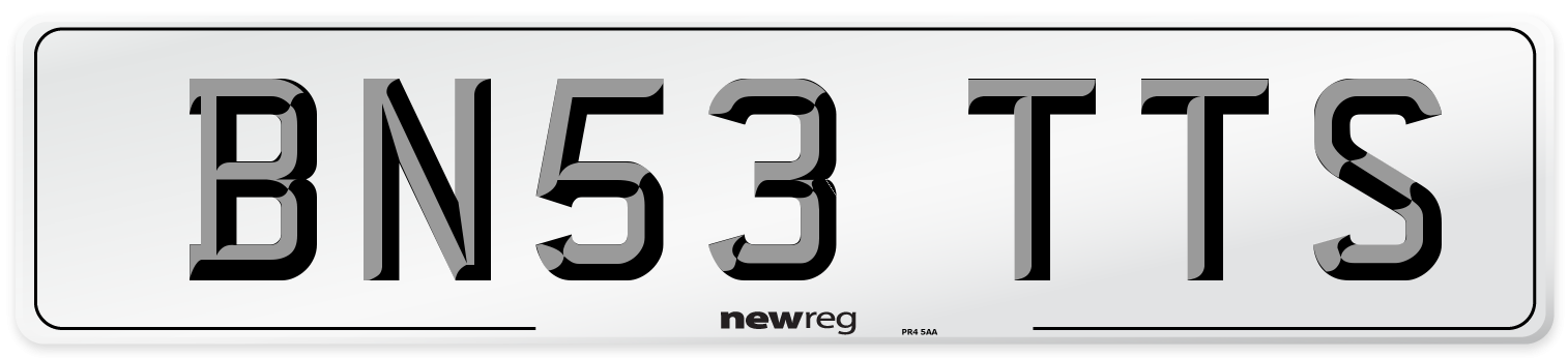 BN53 TTS Front Number Plate