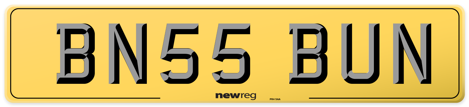BN55 BUN Rear Number Plate