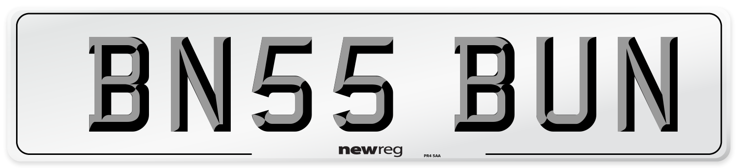 BN55 BUN Front Number Plate