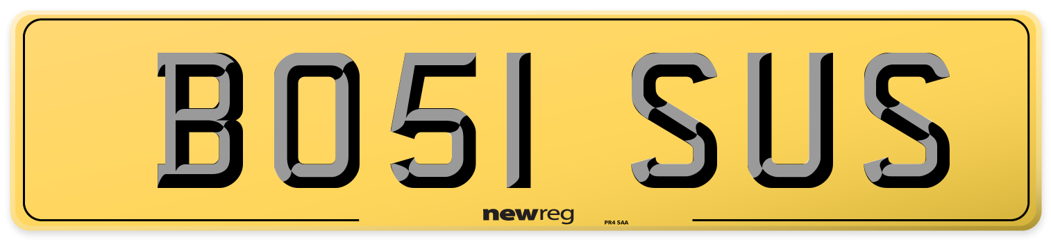 BO51 SUS Rear Number Plate