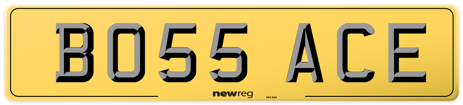 BO55 ACE Rear Number Plate