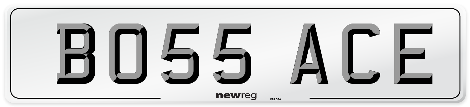 BO55 ACE Front Number Plate