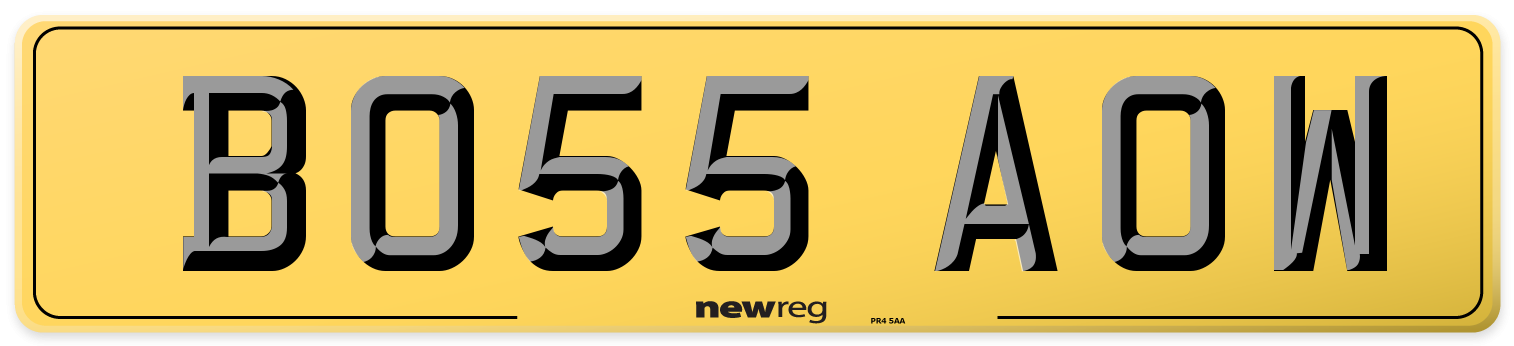 BO55 AOW Rear Number Plate