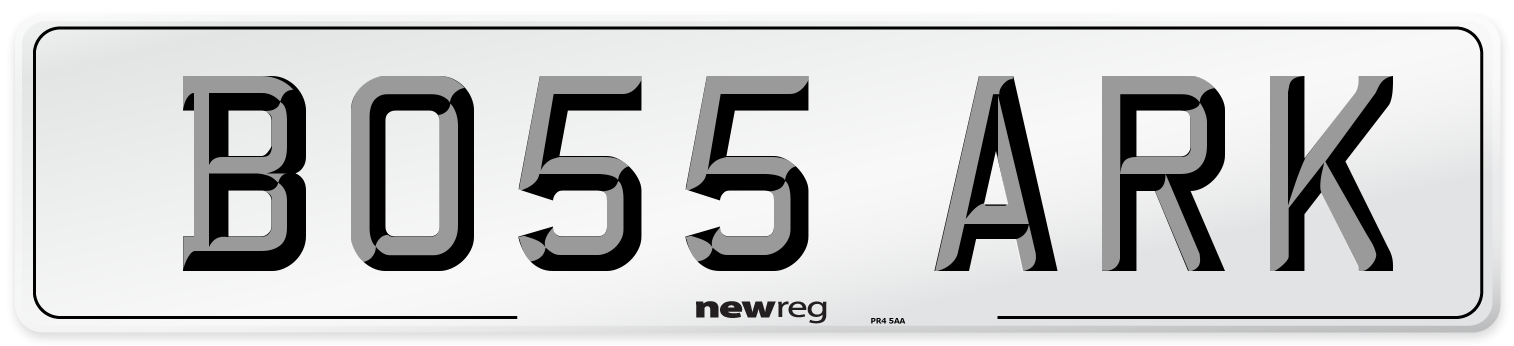 BO55 ARK Front Number Plate