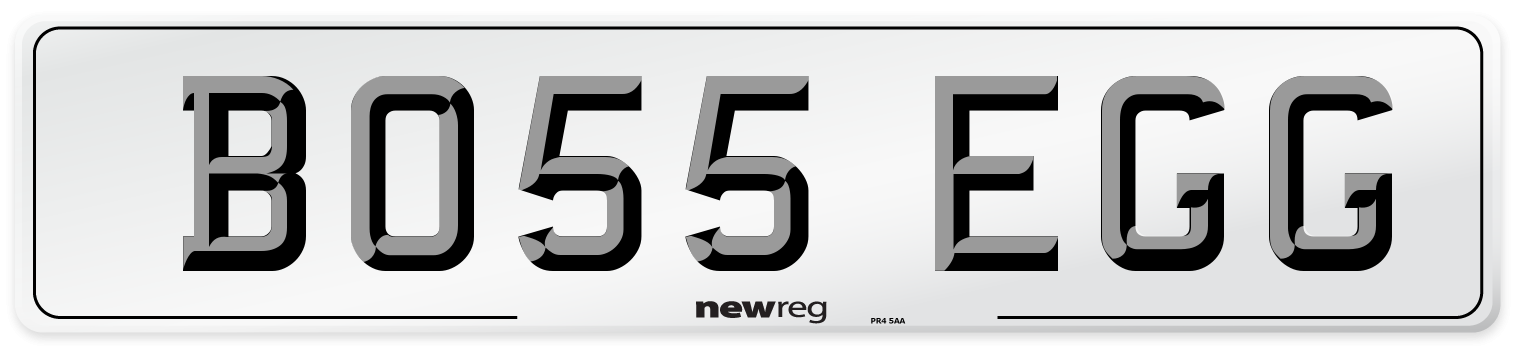BO55 EGG Front Number Plate