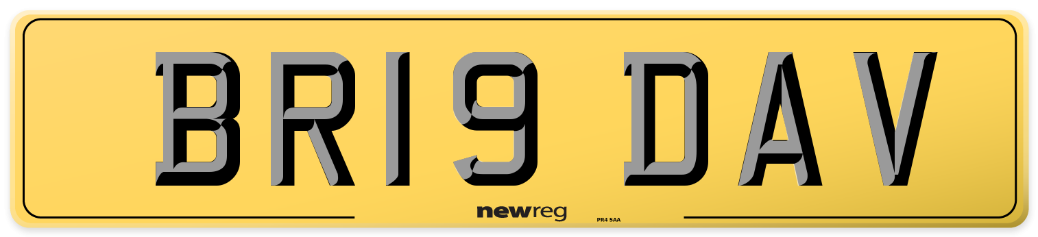 BR19 DAV Rear Number Plate