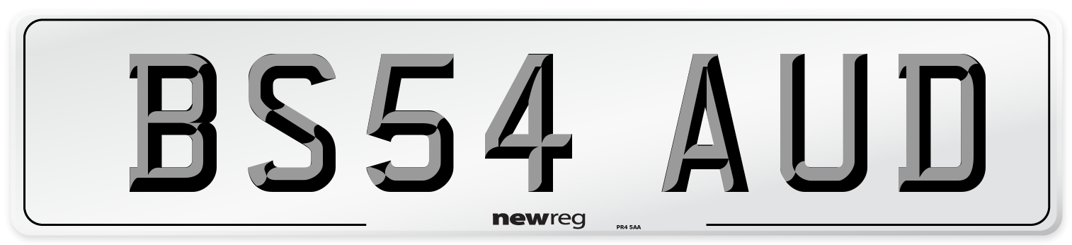 BS54 AUD Front Number Plate