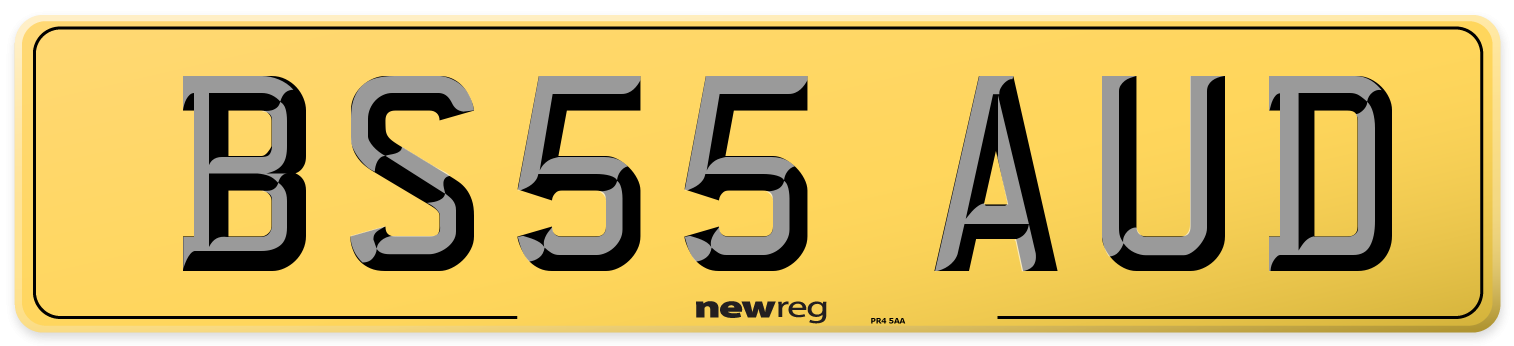 BS55 AUD Rear Number Plate