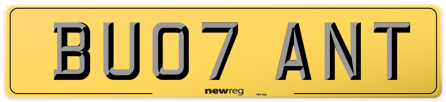 BU07 ANT Rear Number Plate