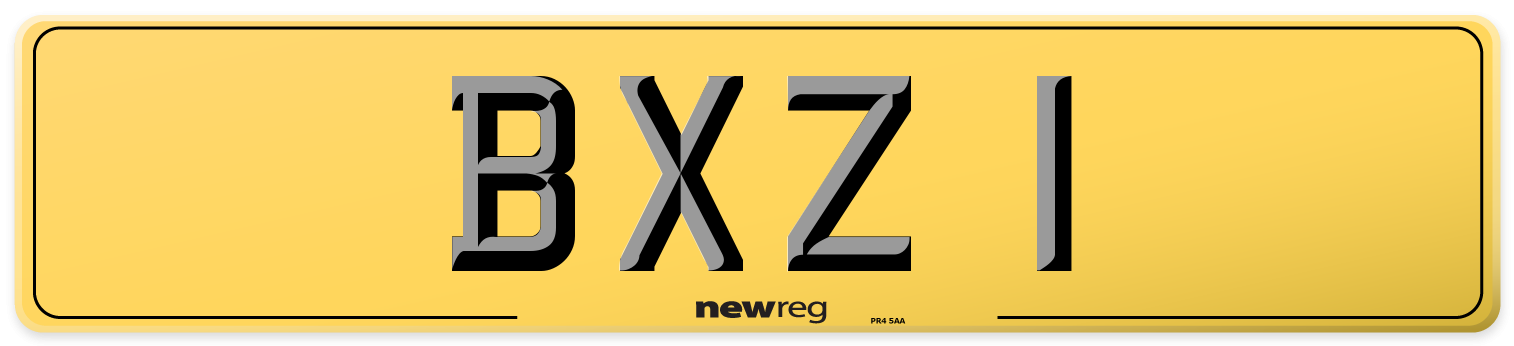 BXZ 1 Rear Number Plate
