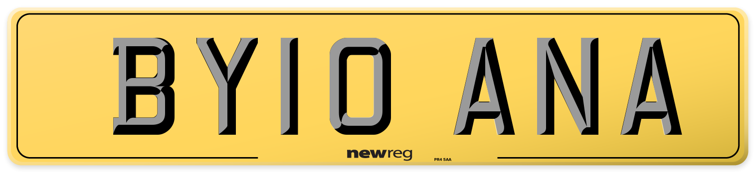 BY10 ANA Rear Number Plate