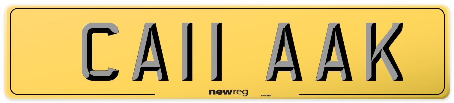CA11 AAK Rear Number Plate