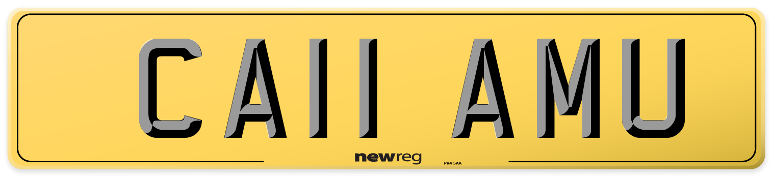 CA11 AMU Rear Number Plate