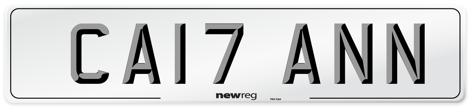CA17 ANN Front Number Plate
