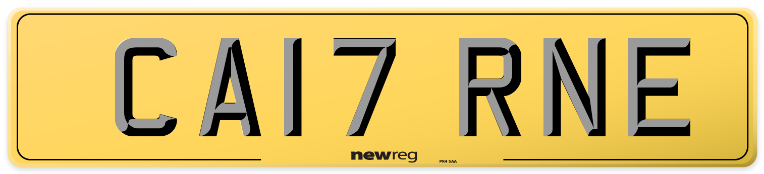 CA17 RNE Rear Number Plate