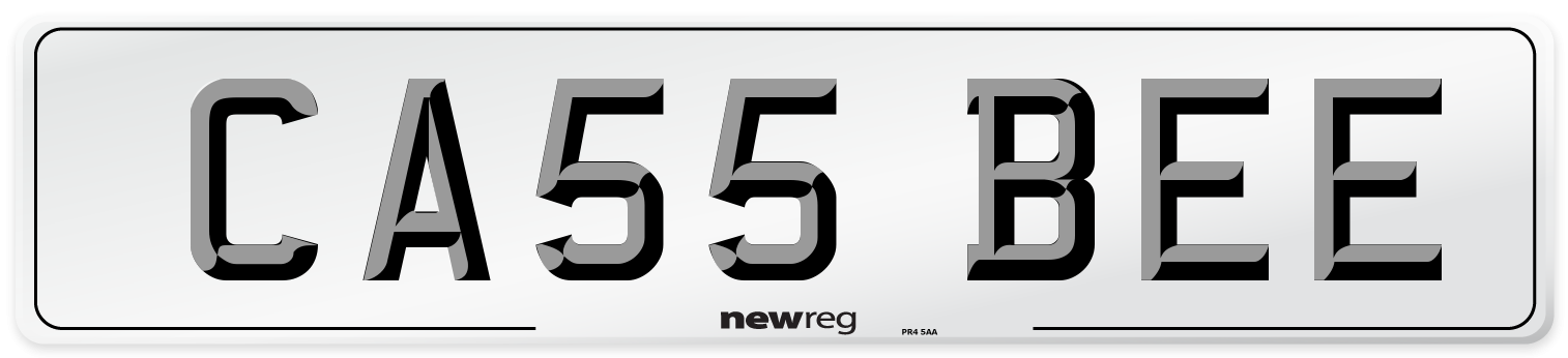 CA55 BEE Front Number Plate