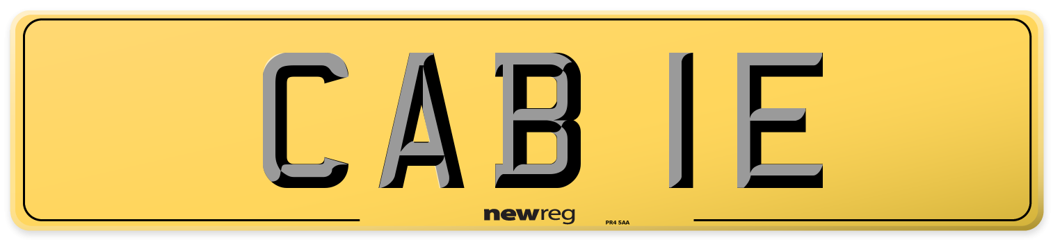 CAB 1E Rear Number Plate