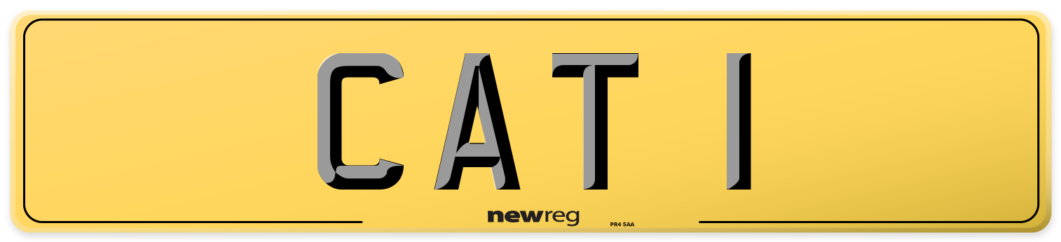 CAT 1 Rear Number Plate