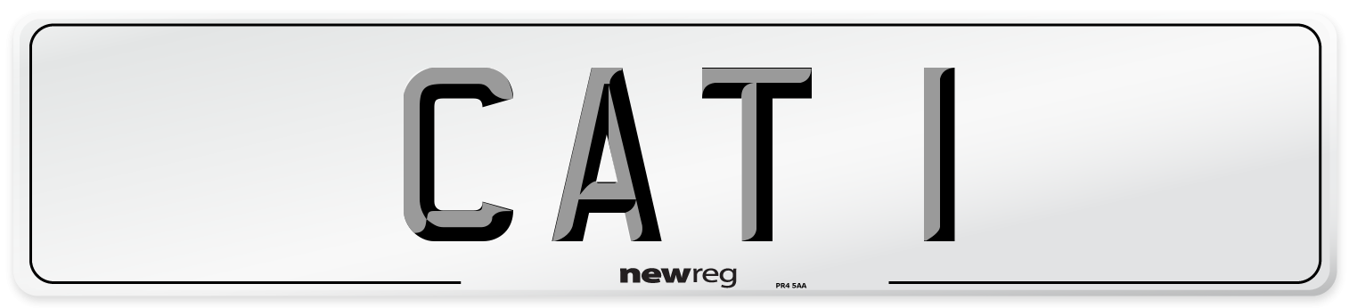 CAT 1 Front Number Plate