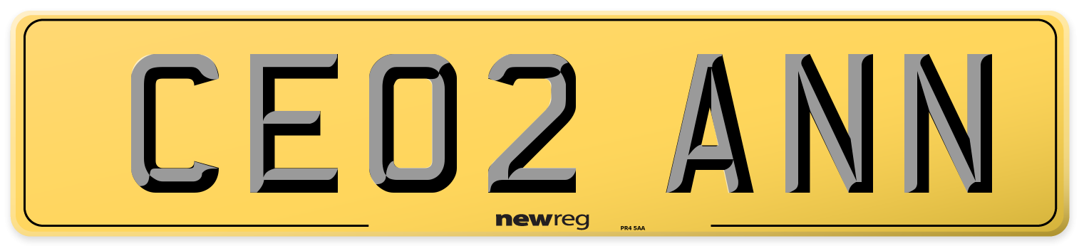 CE02 ANN Rear Number Plate