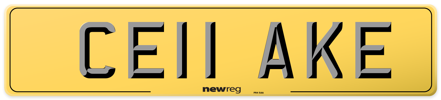 CE11 AKE Rear Number Plate