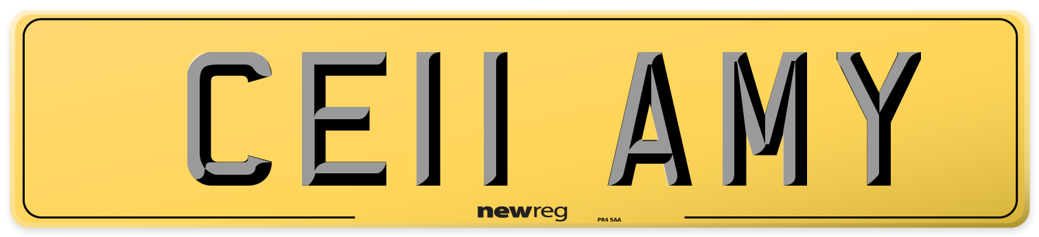 CE11 AMY Rear Number Plate