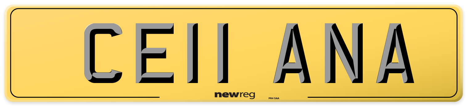CE11 ANA Rear Number Plate
