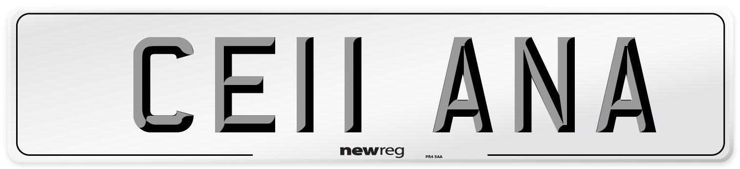 CE11 ANA Front Number Plate